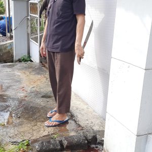 Propolis Diamond